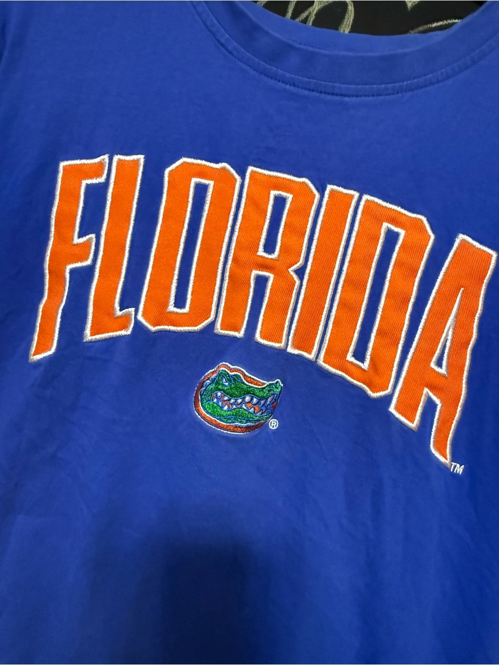Florida Gators Embroidered Graphic Tee Royal Blue Size Medium NCAA-Champion - Picture 4 of 6